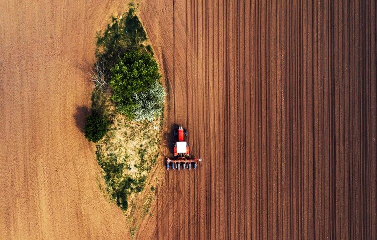 “Nuestros ‘pilotos automáticos’ se conectan con el tractor y su inteligencia artificial aprende de la dinámica de movimiento de la maquinaria, permitiendo que el manejo autónomo sea cada vez más eficiente”, explicaron desde Campo Preciso