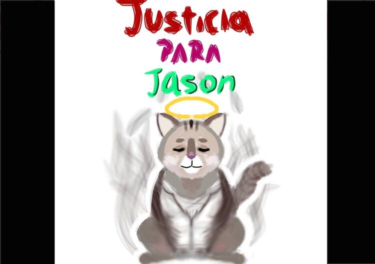 justicia-jason-gato.png