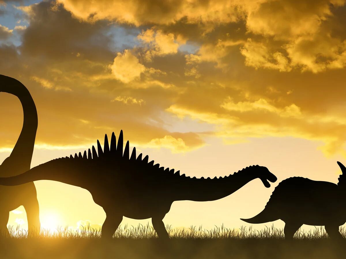 La nueva explicación sobre la desaparición de los dinosaurios: ¿y si no fue  un supermeteorito? - Infobae