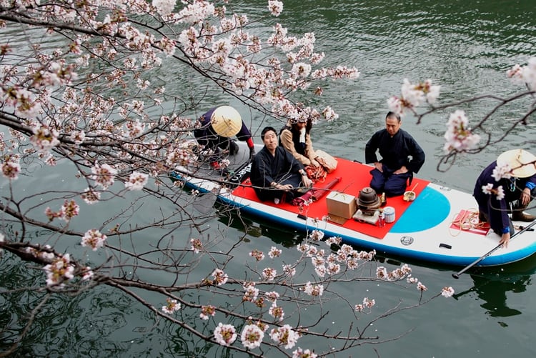 Hanami, el ritual de observar las flores en Japón. (AP Photo/Shuji Kajiyama)