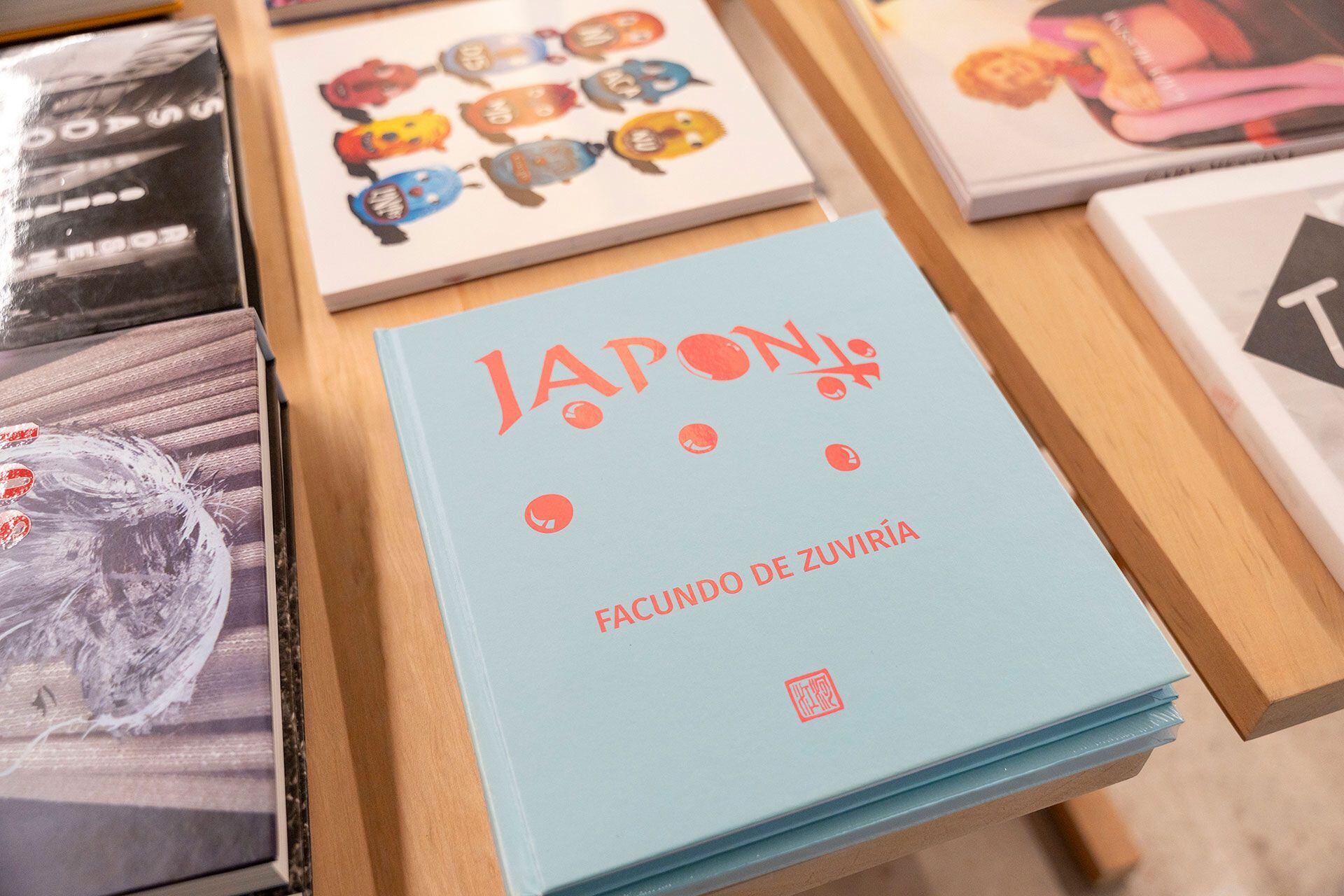 Un libro con las fotografías de Facundo de Zuviría, publicado por Ediciones Larivière, complementa la muestra (Foto: Juan Lopetegui)