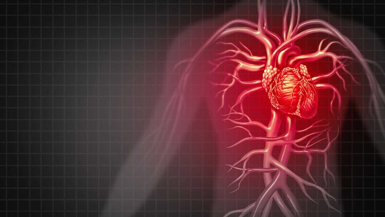 Uno de cada cinco fallecimientos en el país es atribuible a causas cardíacas, según consignó la Secretaría de Salud de la Nación