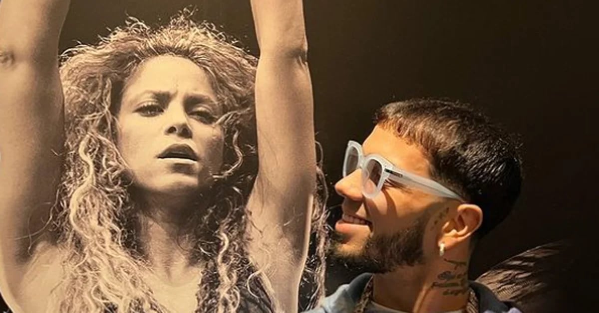 Shakira is reportedly preparing a lawsuit against Anuel AA for naming her in his song without permission