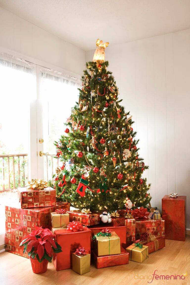 Cuál Es El Significado Del Árbol De Navidad? - Periódico La Prensa