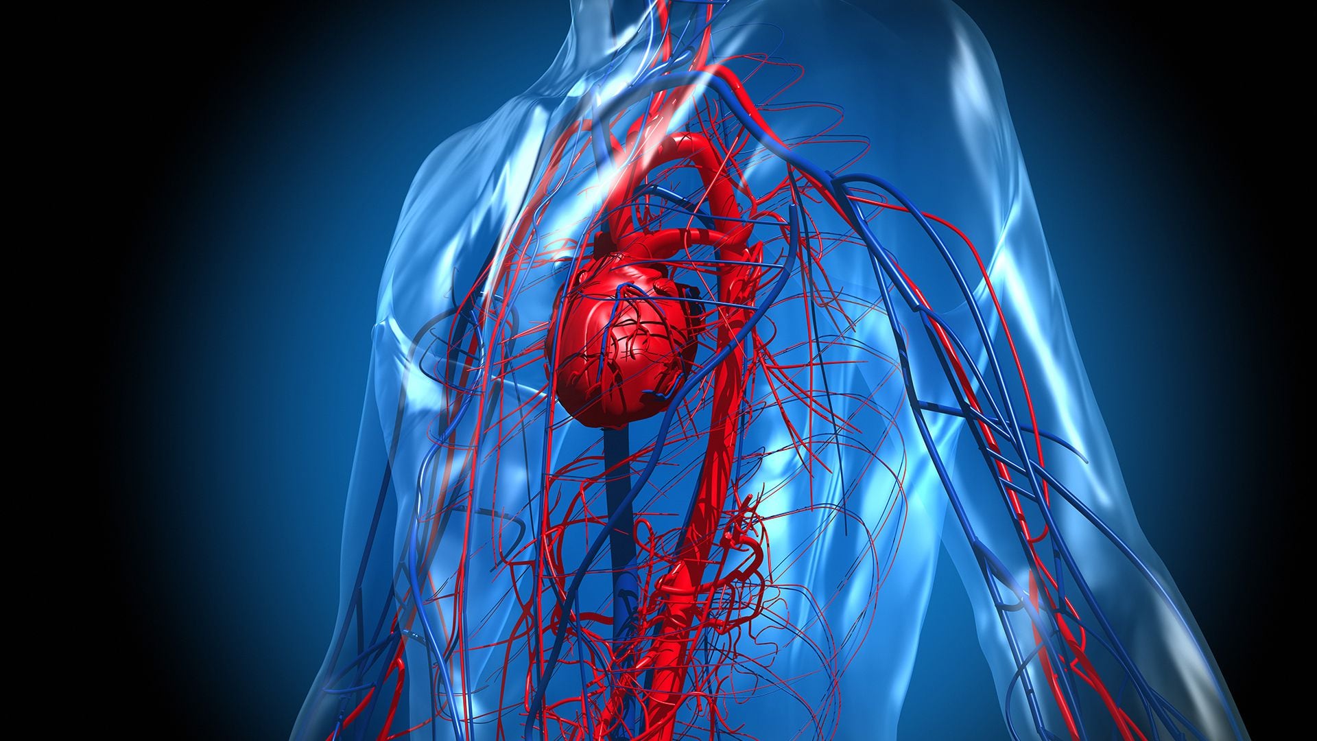 Se reportó una caída del 40% en la utilización de angioplastia coronaria en pacientes con infarto agudo de miocardio y de un 80% en procedimientos como el reemplazo de la válvula aórtica (Gettyimages)