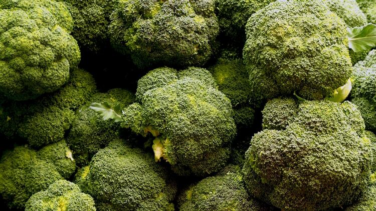 El estudio que buscó potenciar las sustancias benéficas para la salud humana que tiene el brócoli y aumentar su vida útil después de la cosecha fue realizado por investigadores de la Facultad de Agronomía