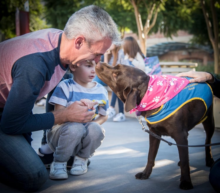 Perros de servicio, salvan vidas y hacen más ameno el aislamiento (Asociación Bocalán Argentina)