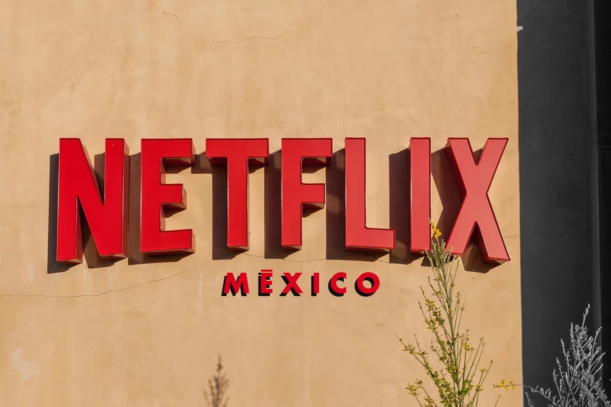 Netflix es una de las empresas en la mira del gobierno (Foto: Especial)