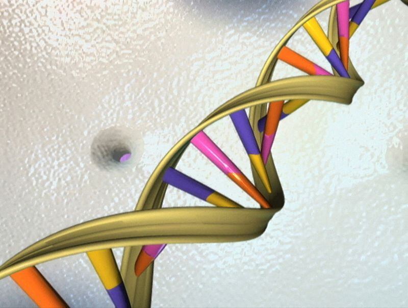 Preservación del ADN en el núcleo celular subraya la importancia de este material genético, con el ARN mensajero actuando como portador de instrucciones esenciales para la síntesis de proteínas.REUTERS/Foto de archivo.