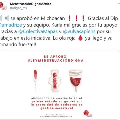 El Movimiento Menstruación Digna celebró la aprobación en Michoacán (Foto: captura de pantalla Twitter @digna_mx)