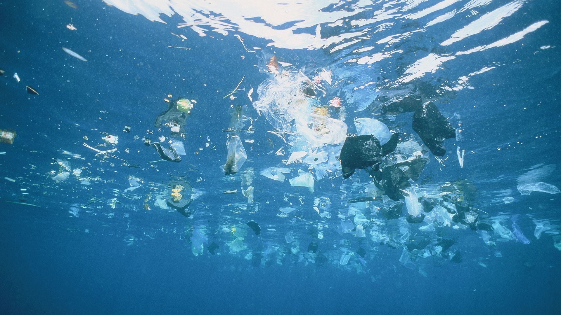 Basura en los océanos, océanos, plásticos en los mares