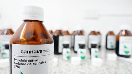 Cannava es uno de los proyectos de cannabis medicinal que ya están en marcha, en la provincia de Jujuy (Franco Fafasuli)
