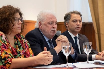 Carla Vizzotti junto a Ginés González García (Foto: Ministerio de Salud)