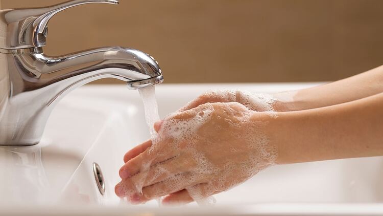 La OMS aconseja que la mejor manera de prevenir la propagación del coronavirus es lavarse las manos con frecuencia, ya sea con un desinfectante para manos a base de alcohol o con agua y jabón (Shutterstock)