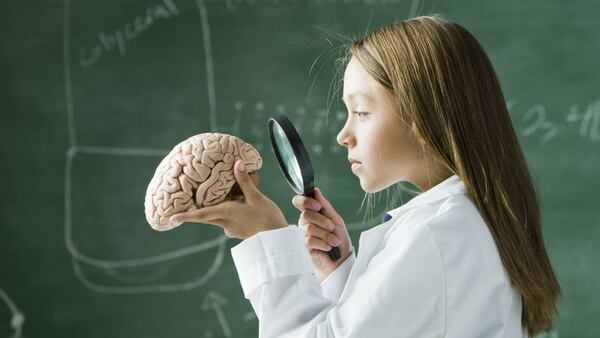¿Qué hay detrás del cerebro de un genio? Es la pregunta que se hacen también los más chicos