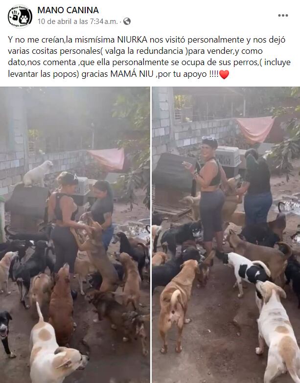 Las fotografías usadas para divulgar la noticia falsa fueron tomadas de la página oficial del albergue Mano Canina, quien en días pasados comunicó que la actriz hizo una donación.