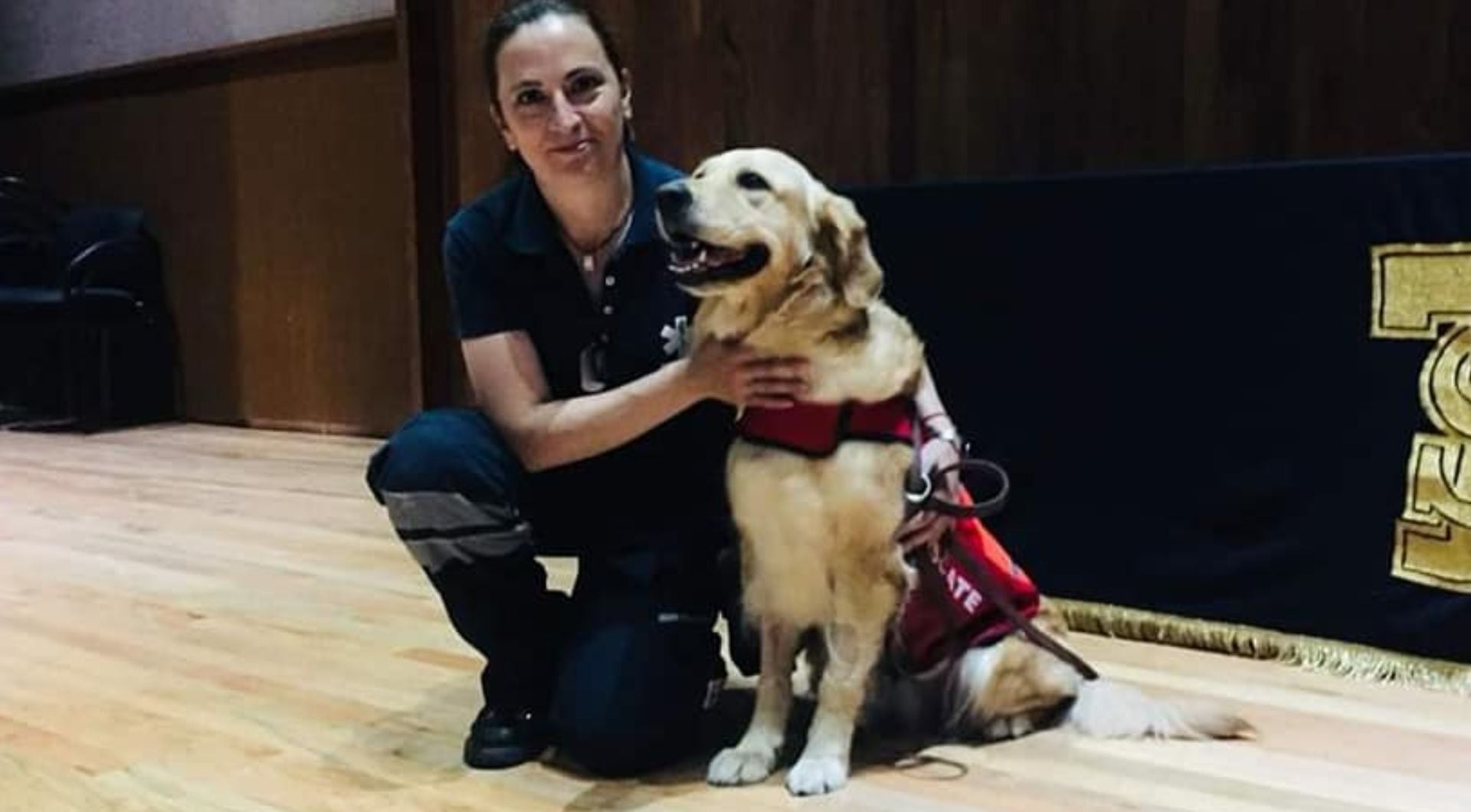 O cão de resgate Nalah interveio no terremoto de 2017