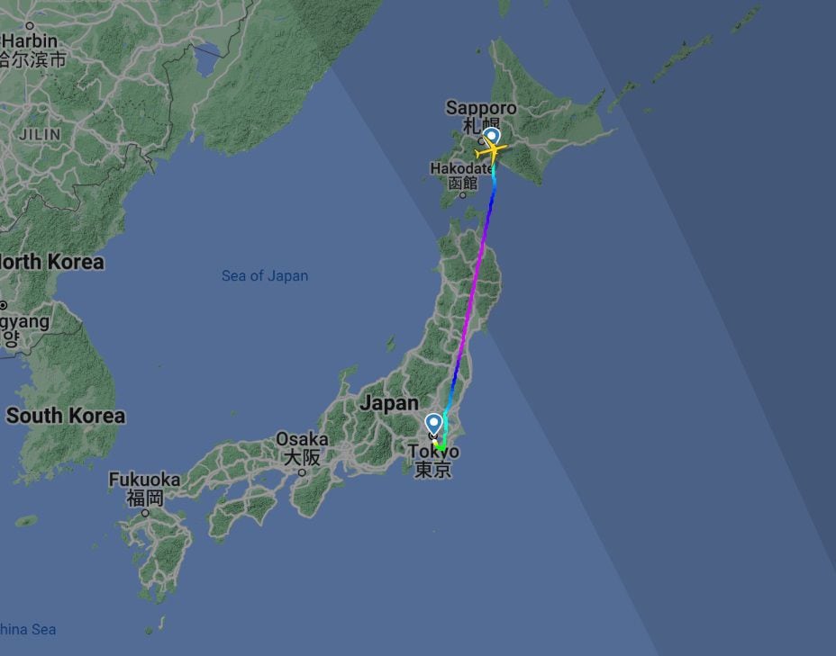 Japan Airlines recorrido