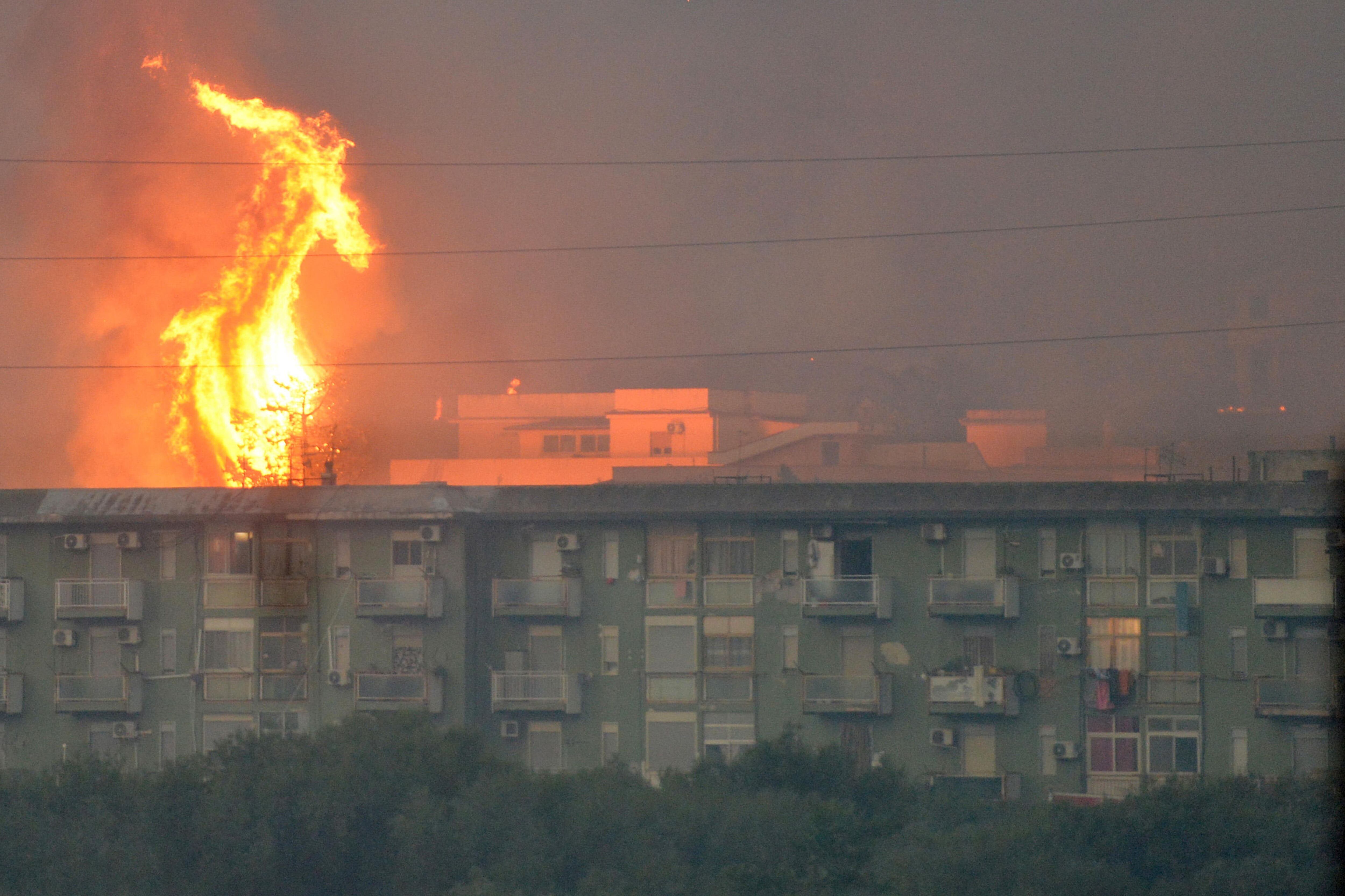 El vasto incendio en los alrededores de Palermo amenaza a los edificios (ANSA / AFP)  