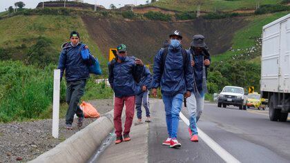 Fotografía de archivo fechada el 26 de enero de 2021 que muestra a un grupo de migrantes venezolanos mientras caminan por una carretera, en la región de Tulcán (Ecuador). EFE/Xavier Montalvo/Archivo
