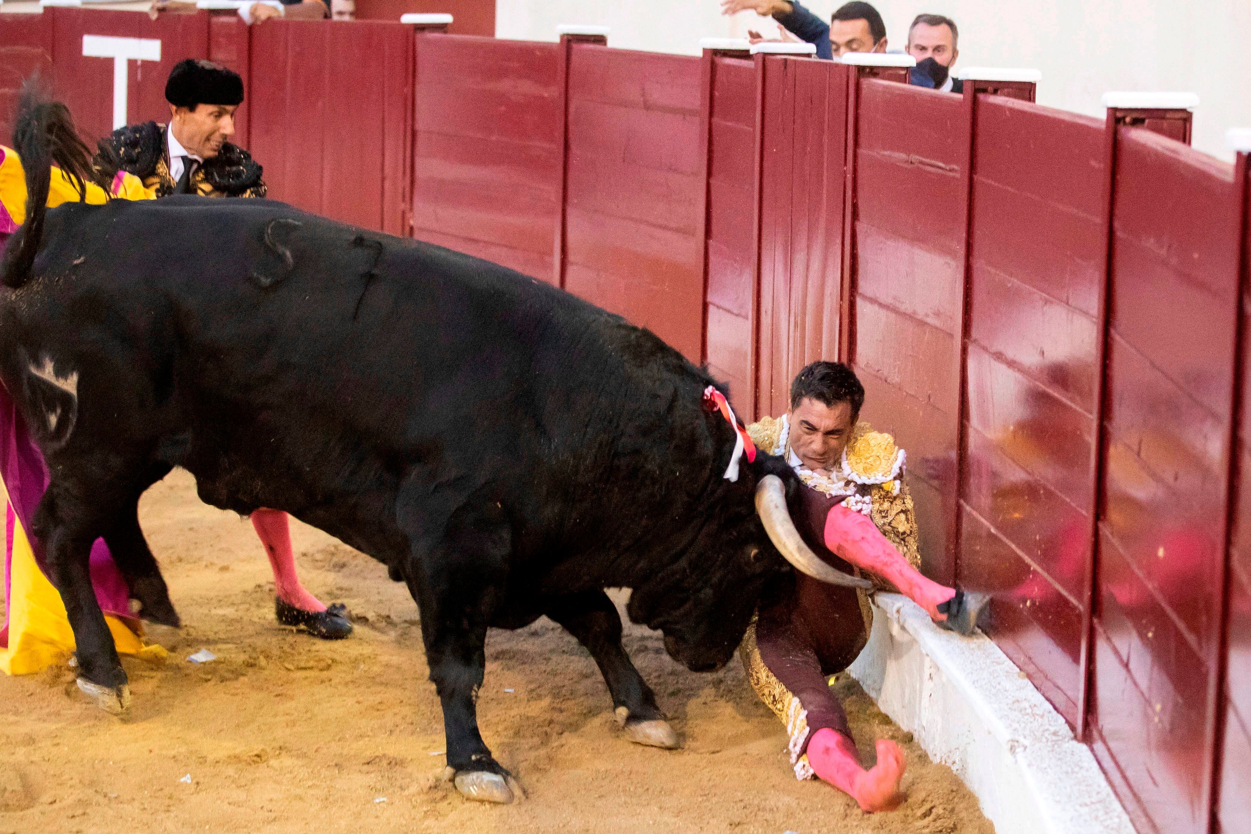El diestro Paco Ureña resultó cogido de gravedad en el mano a mano celebrado esta tarde en la plaza de toros de Abarán (Murcia) y que constituía un homenaje a su compañero de cartel, Rafael Rubio Rafaelillo, en el XXV aniversario de su alternativa. EFE/MARCIAL GUILLÉN