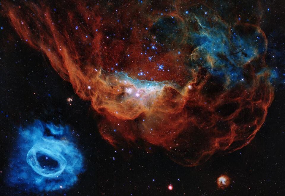 NGC 2014 y 2020 NASA