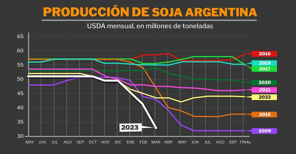 The graph that shows the harsh impact of the drought on the soybean crop and triggers an alarm for the Central Bank
