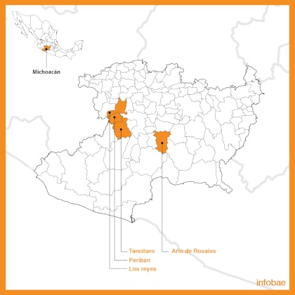 Los municipios de Peribán, Los Reyes, Tancítaro y Ario de Rosales, principales productores de la fruta en Michoacán, tomaron medidas para evitar futuros incidentes con el crimen organizado (Mapa: Infobae México)