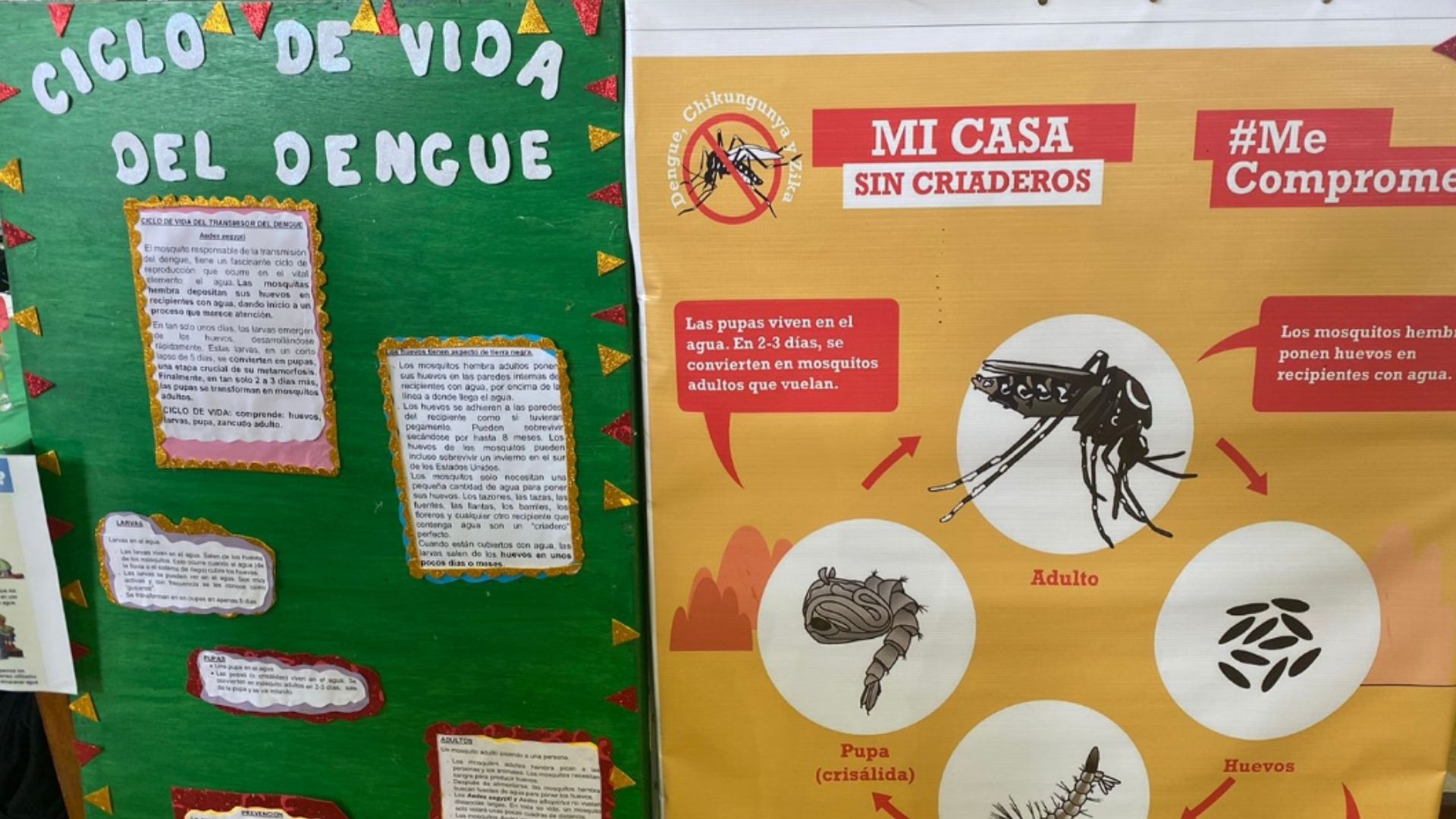 Minsa lucha contra los casos de dengue