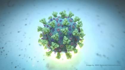 Una imagen del coronavirus creada por computadora por Nexu Science Communication  junto con Trinity College en Dublin (NEXU Science Communication/via REUTERS).