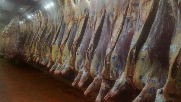 Carne argentina de exportación
