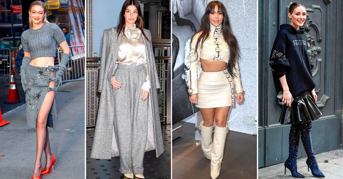 Camila Morrone and Gigi Hadid installed in gray in their looks: celebrities in one click