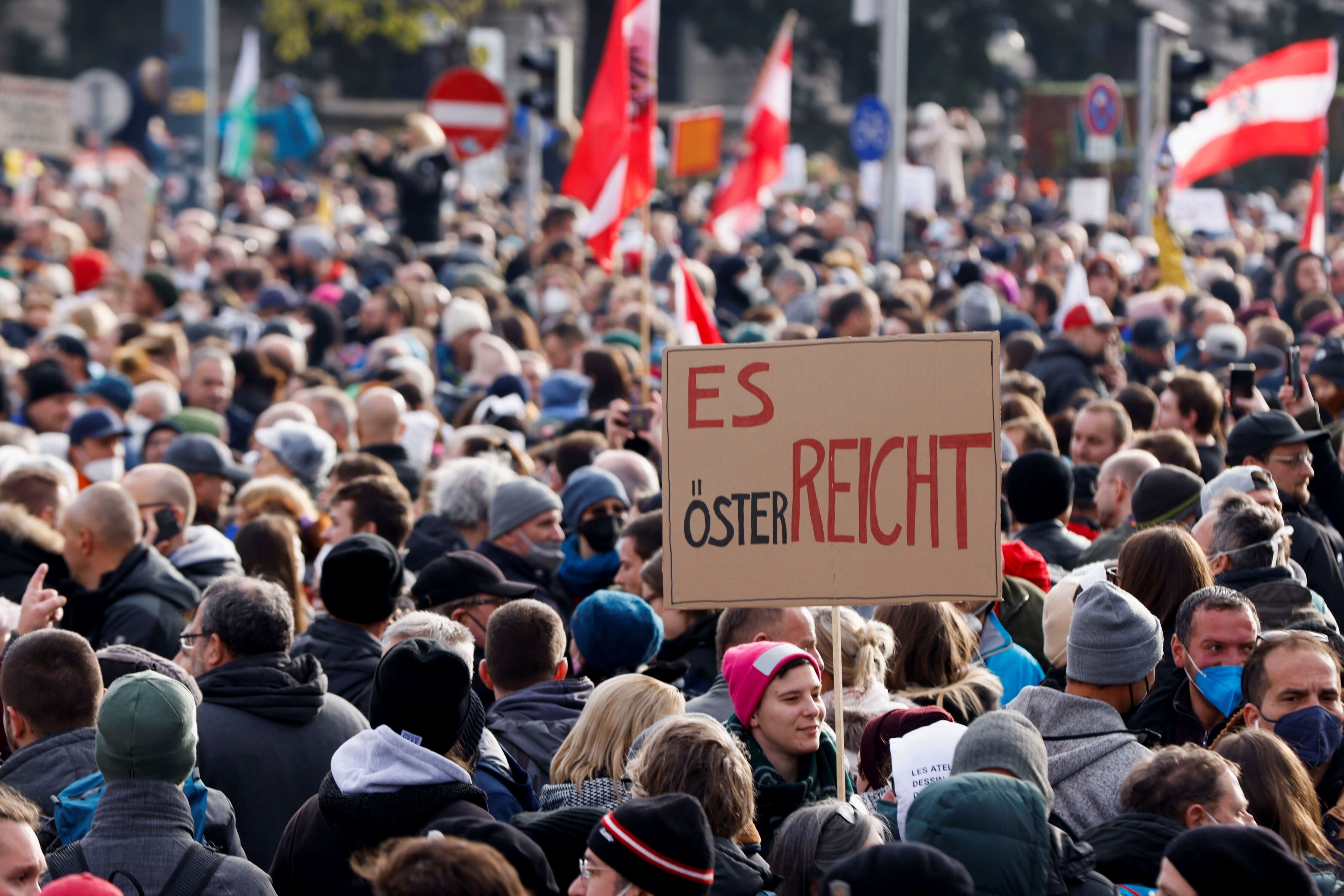 20 29 ноября. Митинги в Австрии. Протесты в Вене. Демонстрация в Вене. Манифестации в Австрии.