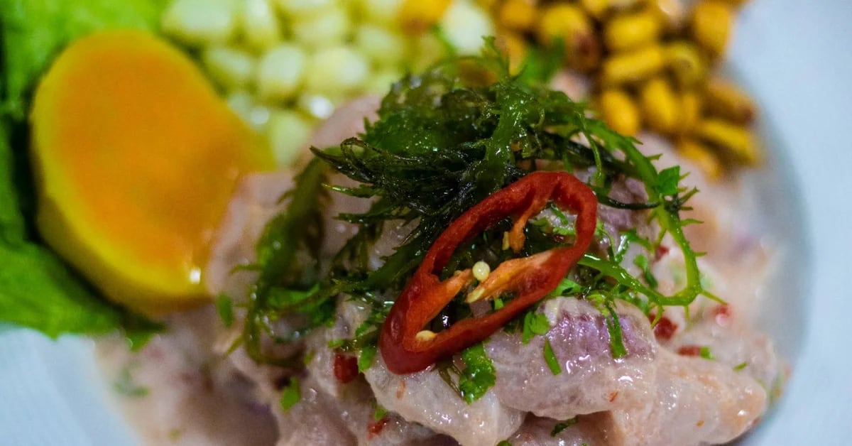 The origin of ceviche: Is it from Peru, Chile, Ecuador or Mexico?  ChatGPT ends the debate