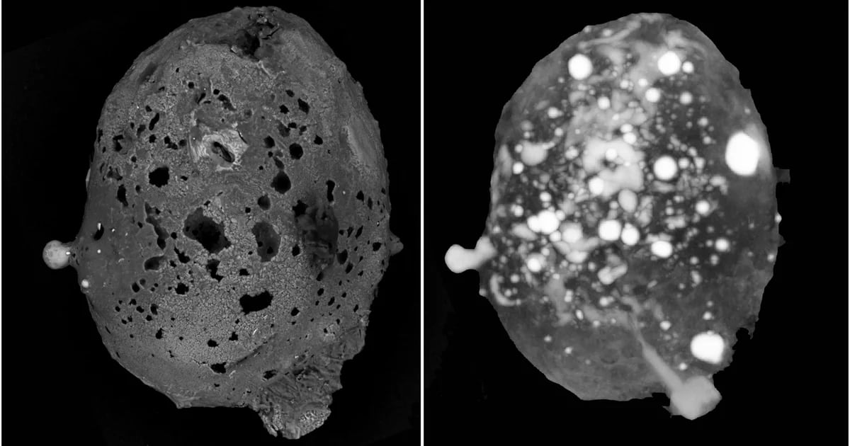 È stato ritrovato in Italia un piccolo meteorite contenente quasicristalli, uno dei meteoriti più rari al mondo.