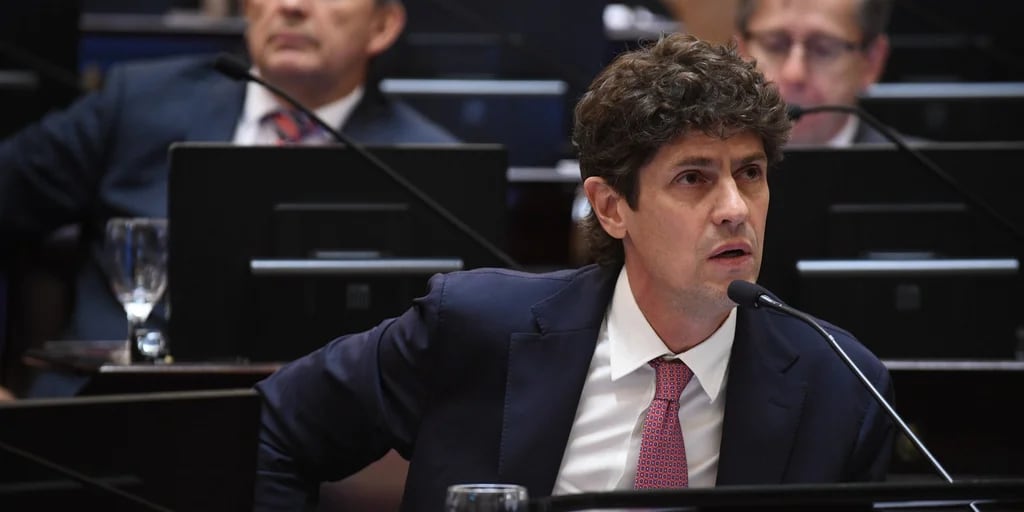 López Murphy se refirió al tratamiento de la Ley Bases en Diputados: “Vamos a votar para que el Gobierno tenga los instrumentos”