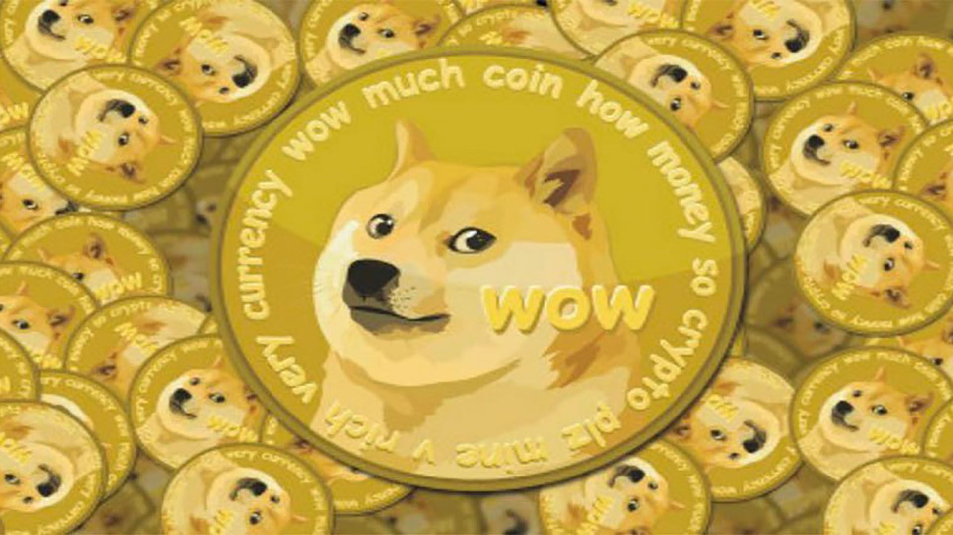 El increíble récord de la criptomoneda que nació como una broma: el Dogecoin  subió 15.900% en un año - Infobae