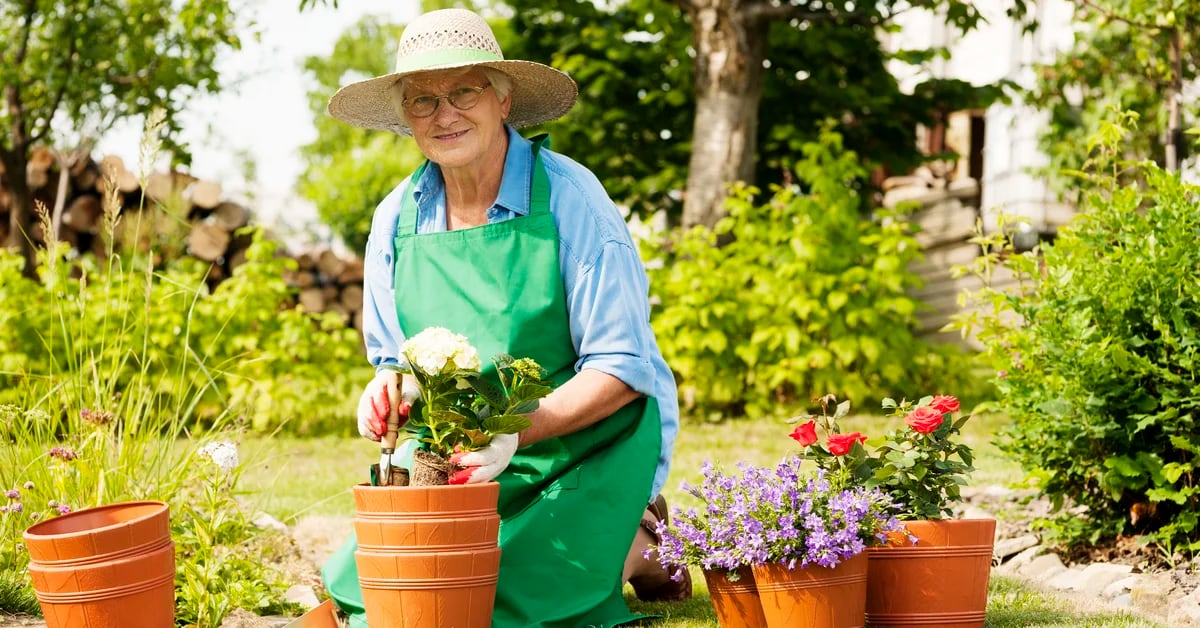 Od ogrodu do długowieczności: Jaki jest wpływ ogrodnictwa na zdrowie i samopoczucie według nauki