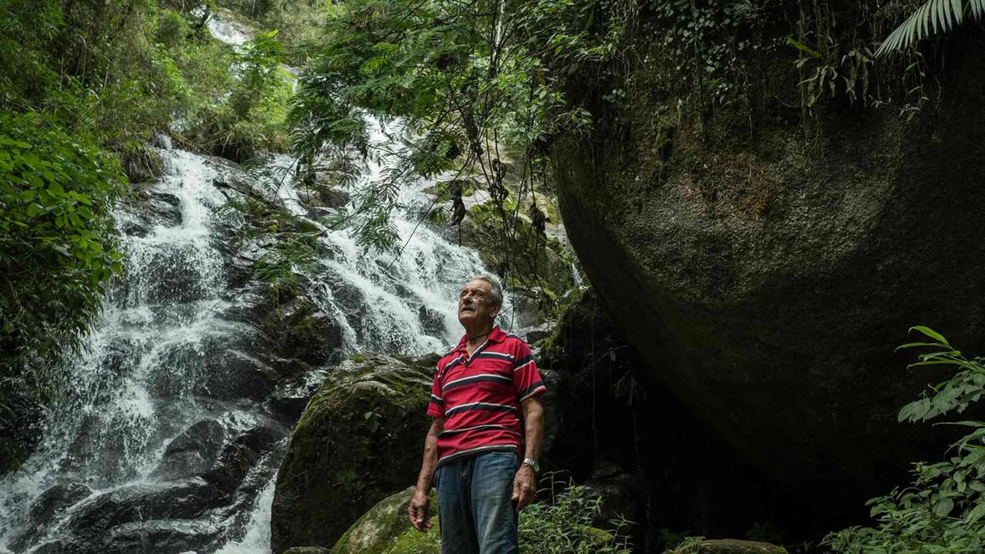 Plantó 50 mil árboles a 200 kilómetros de San Pablo y hoy vive en su propia selva (Tommaso Protti/The Guardian)