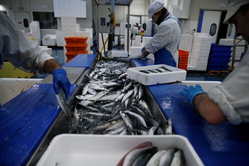Trabajadores en una planta de procesamiento de pescado
REUTERS/Pascal Rossignol