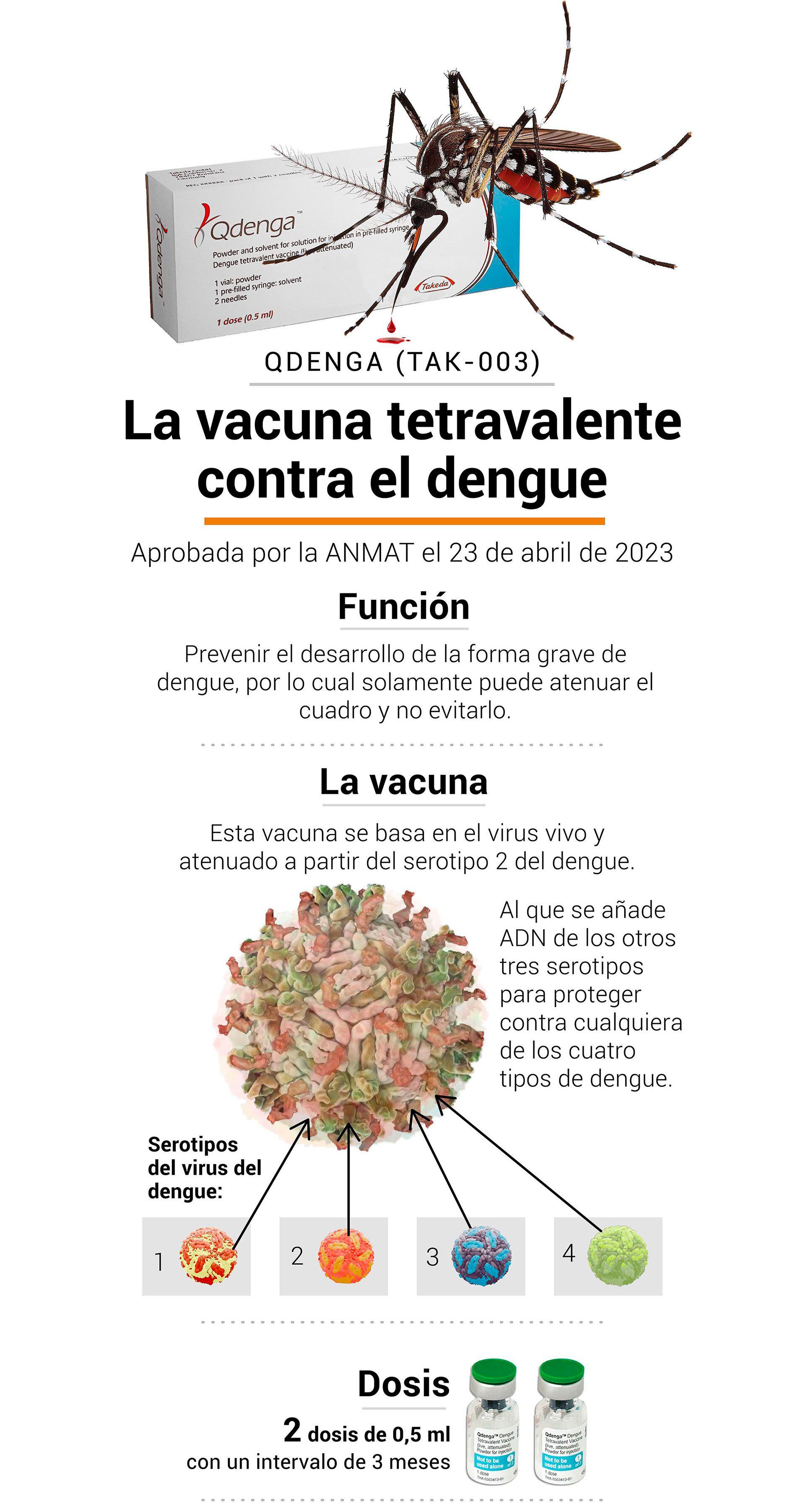 Vacuna del dengue en Argentina INFOGRAFIA
