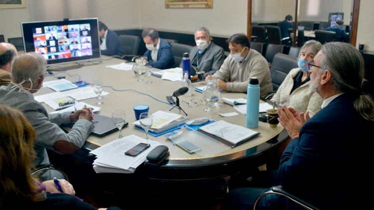 El ministro Luis Basterra y su exposición por videoconferencia ante los integrantes de la Comisión de Agricultura y Ganadería del Senado (Foto: Ministerio de Agricultura, Ganadería y Pesca de la Nación)