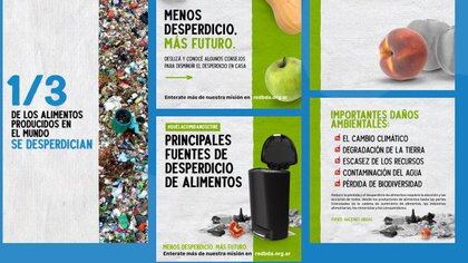 Datos sobre desperdicio de alimentos, según la Red Argentina de Bancos de Alimentos