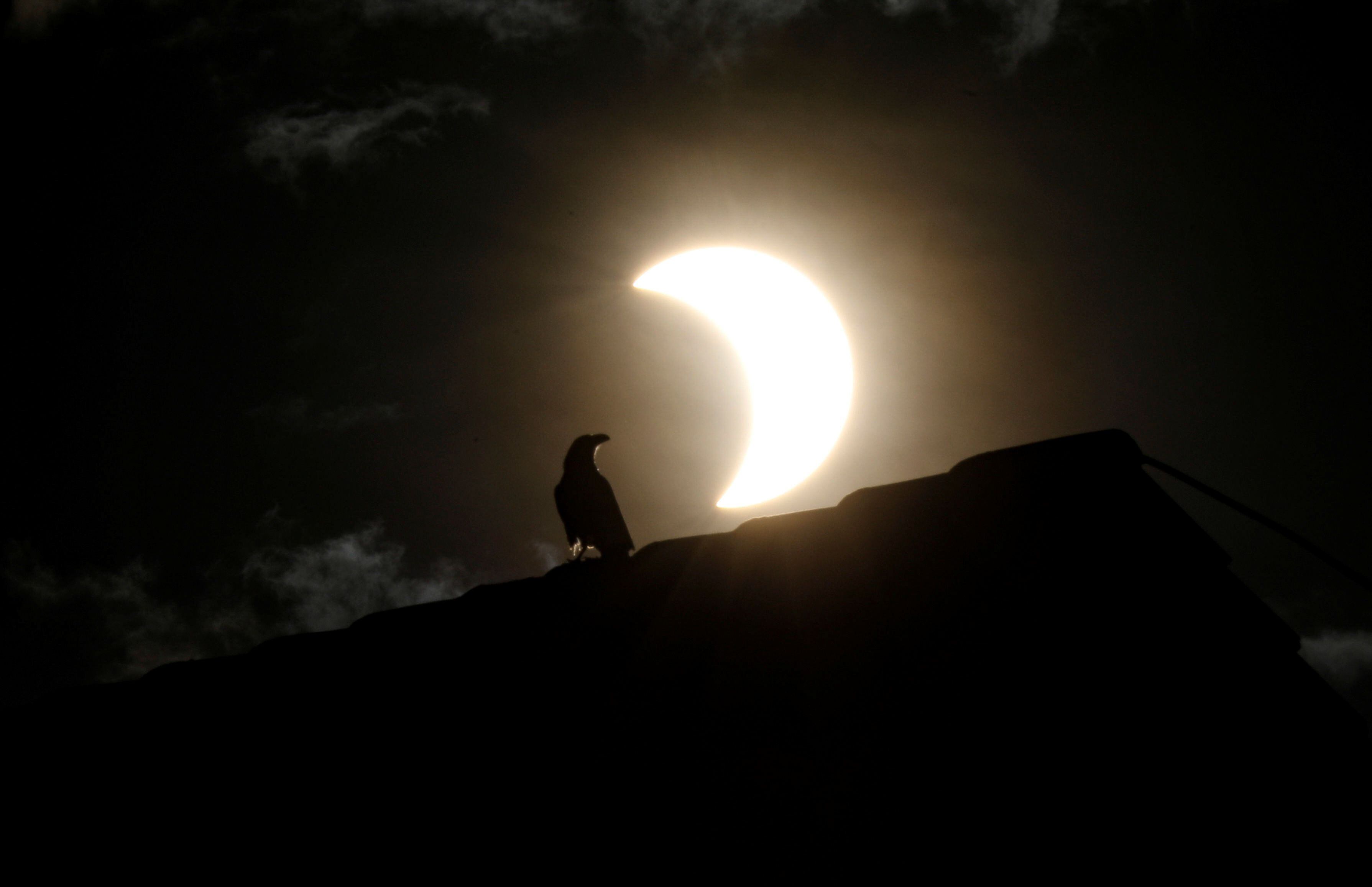 A crow stands on a roof as a partial solar eclipse is observed in Nairobi, Kenya, June 21, 2020. REUTERS/Baz Ratner
