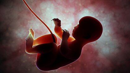 La IgG positiva en sangre de cordón fue más frecuente en recién nacidos cuyas madres fueron sintomáticas (Shutterstock)