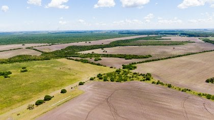 Muchas hectáreas de campos donde aún no ha comenzado la temporada de siembra