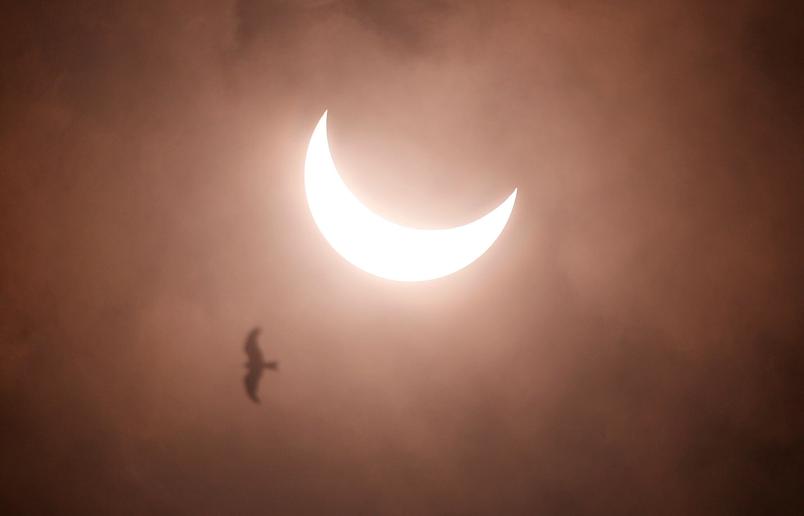 A partial solar eclipse is seen from Rajpath in New Delhi, India, June 21, 2020. REUTERS/Adnan Abidi