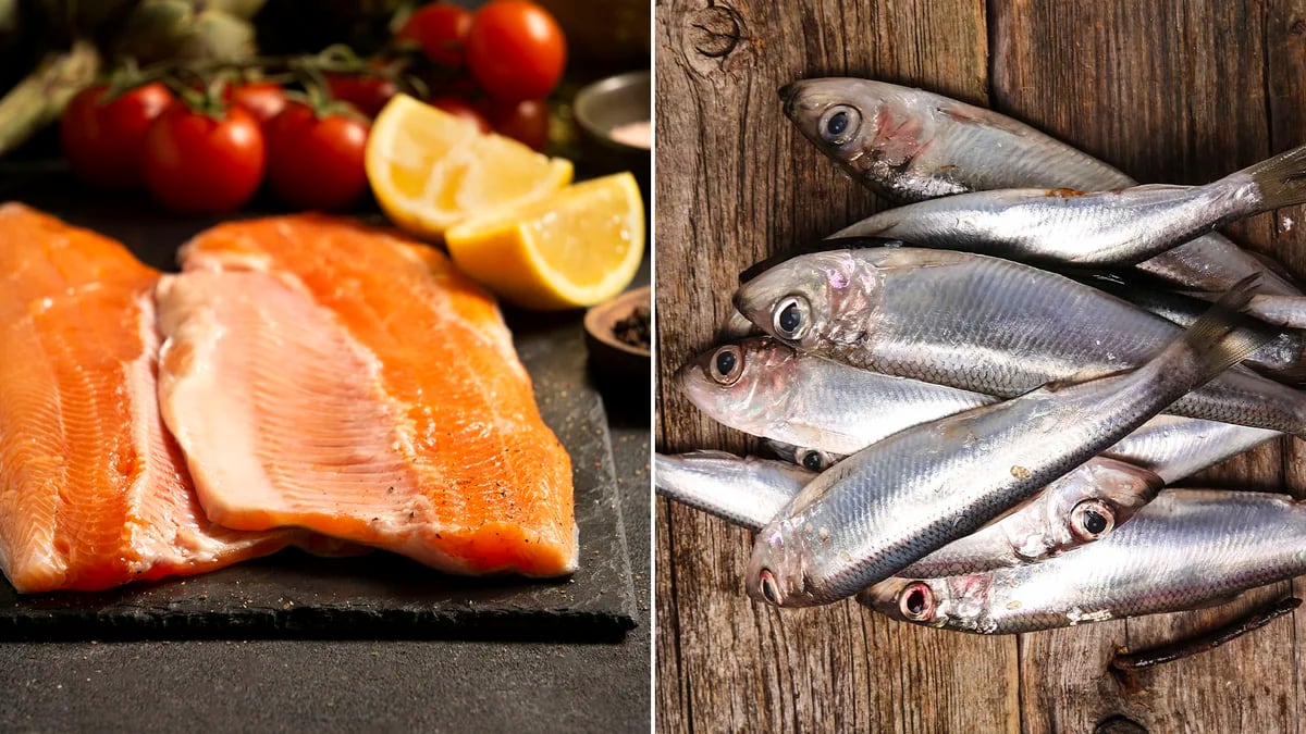 Cuál es el pescado más saludable y qué beneficios aporta