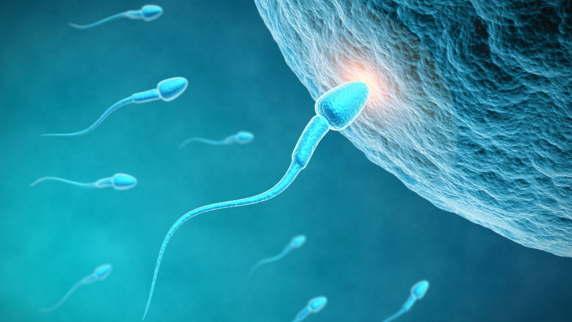 Aunque los resultados son preliminares y solo se probó en ratones, se estimó que en el futuro el procedimiento podría ser un tratamiento para algunas formas de infertilidad causadas por cromosomopatías sexuales como el síndrome de Turner/Archivo