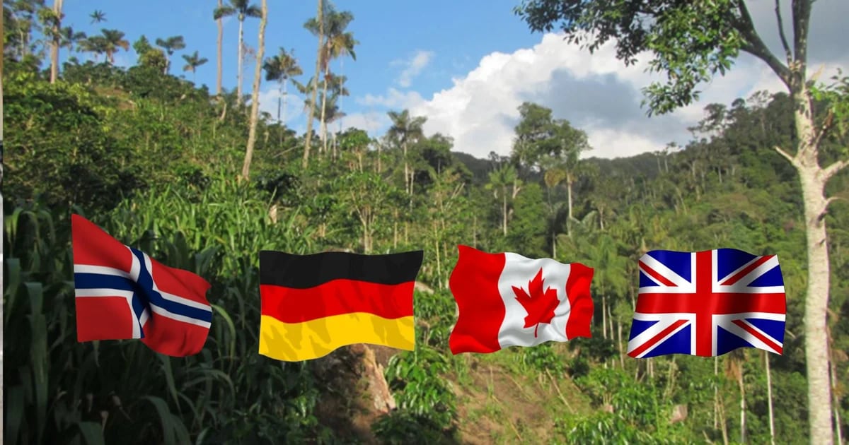 Four countries' embassies express concern over anti-forestry law approved by Peruvian Congress